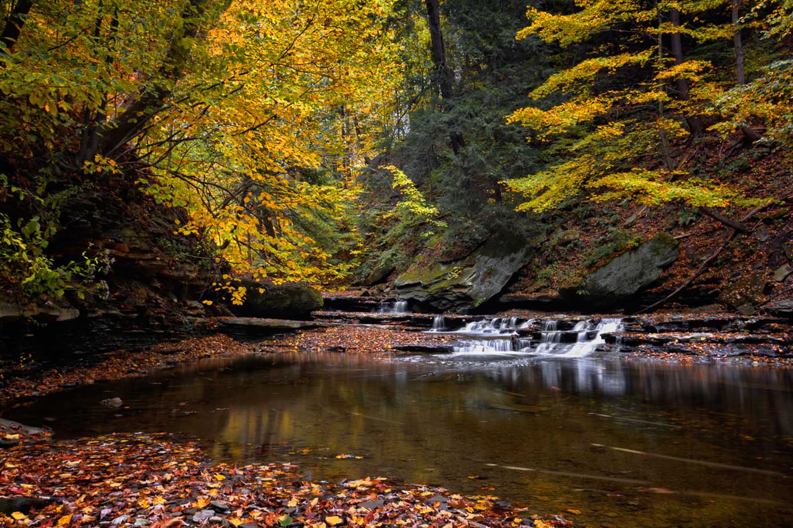 where to camp in california clevenand national forest