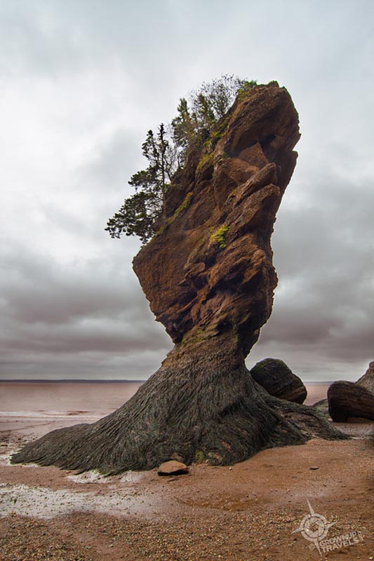 best canadian adventures hopewell rocks