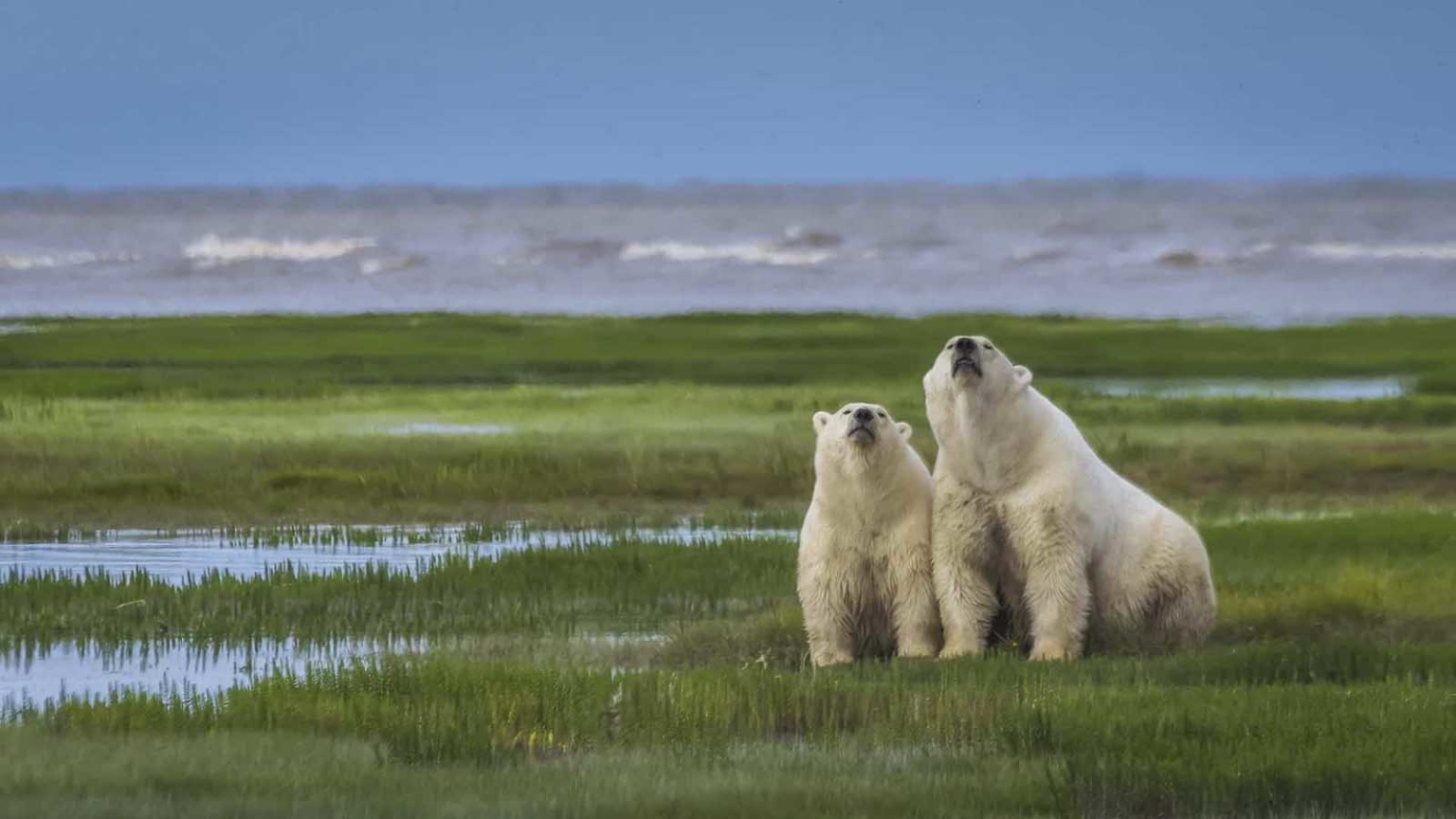 The *Canadian National Parks Map* That Guarantees An Unforgettable Adventure. - mpvzcse