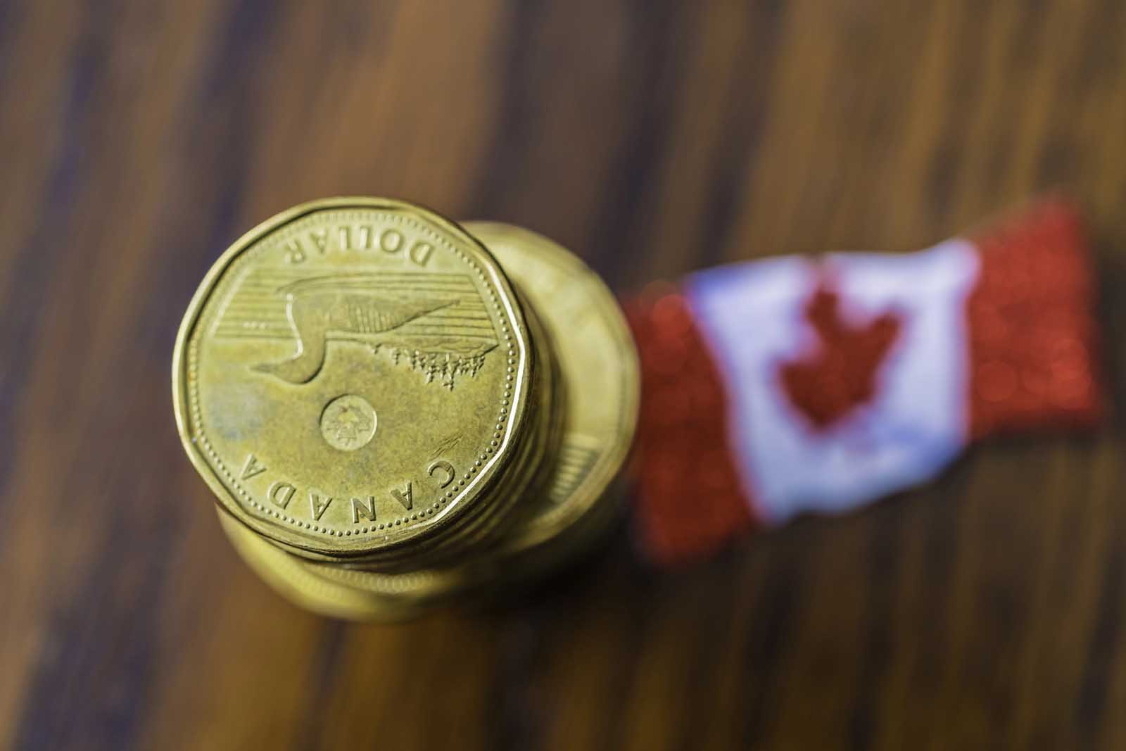 Canadian one-dollar coin known as a loonie