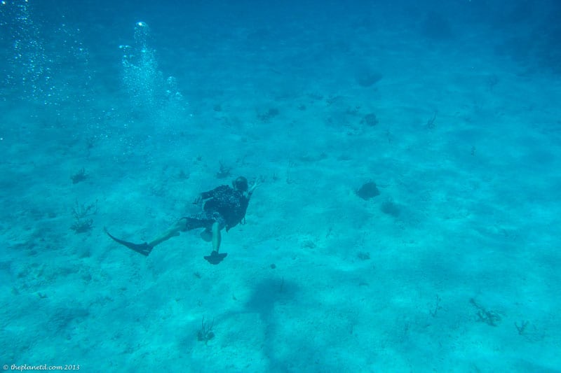 cancun dagsturer dykning