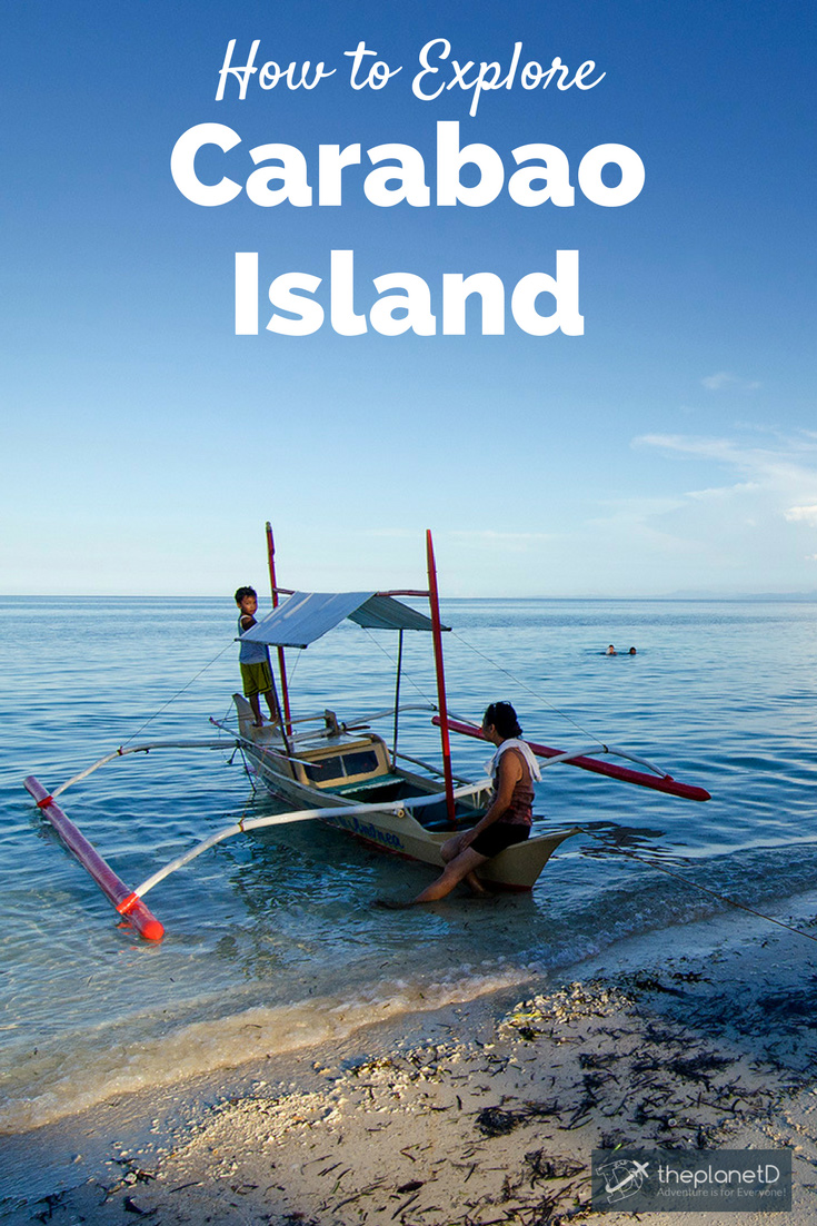 Carabao Island Pinterest
