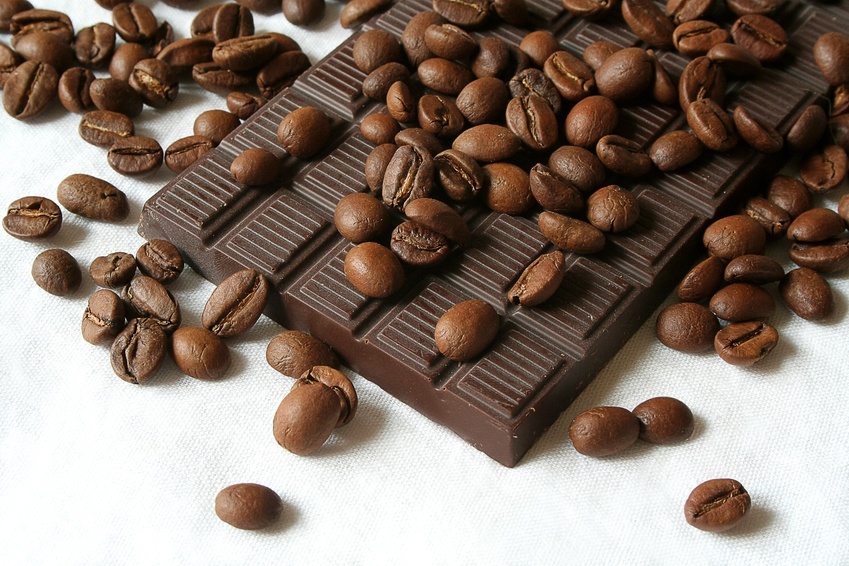chocolate bar and cocoa beans