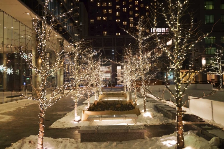 Streets of Yorkville at Christmas in Toronto