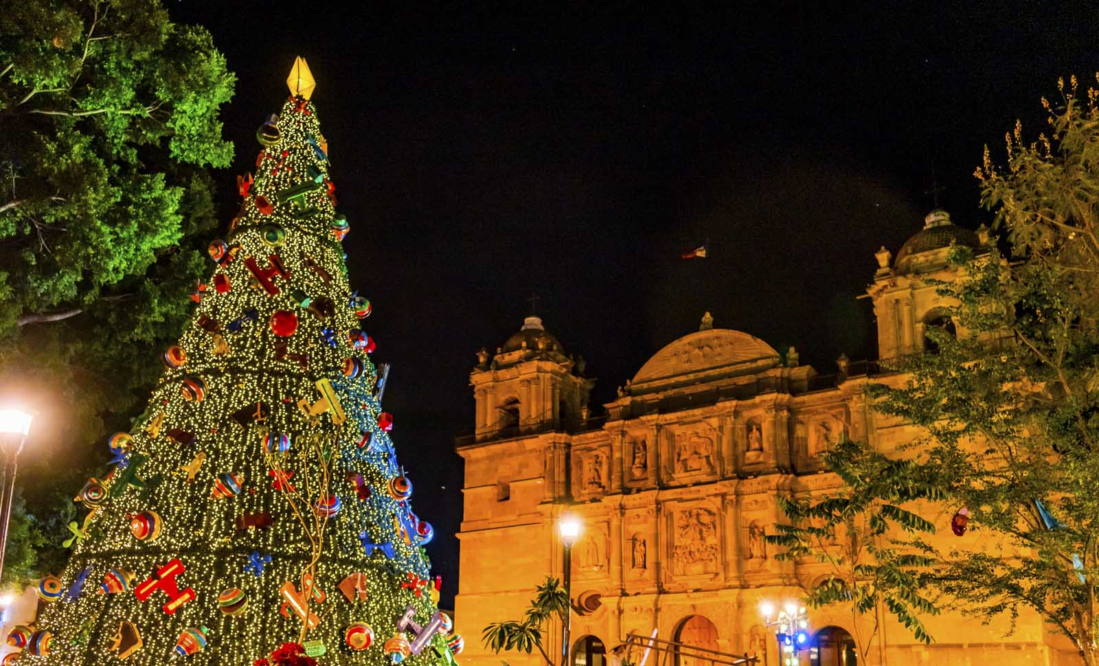 christmas traditions in mexico tree in oaxaca