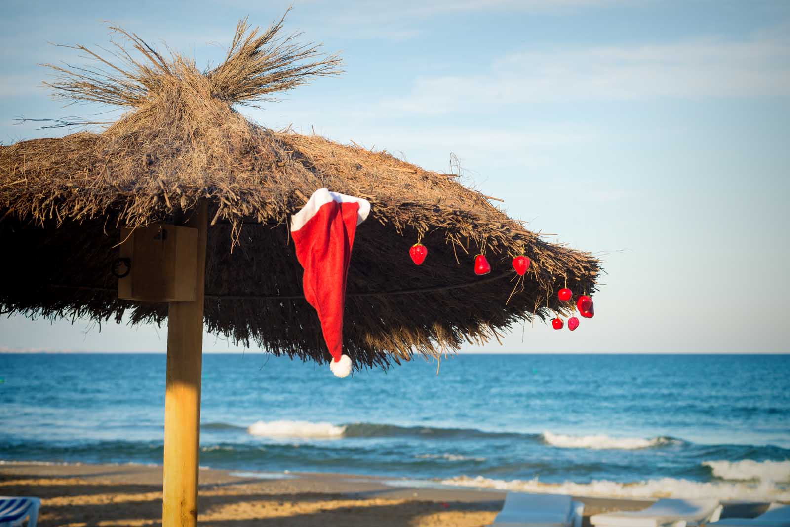 christmas traditions successful  mexico