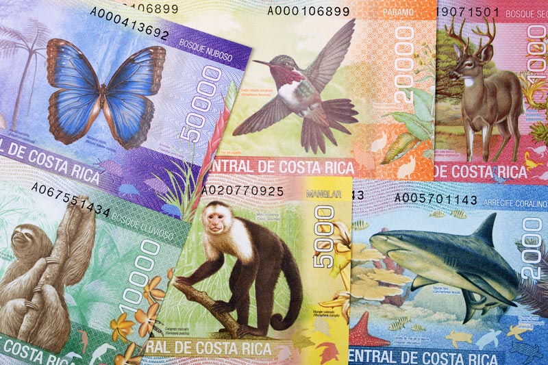 costa rica money adobe