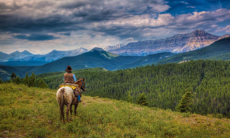 cowboy alberta | high mountain trail ride