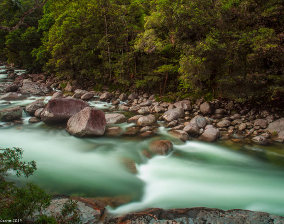 Daintree Rainforest Dreamtime at the Silky Oaks Lodge
