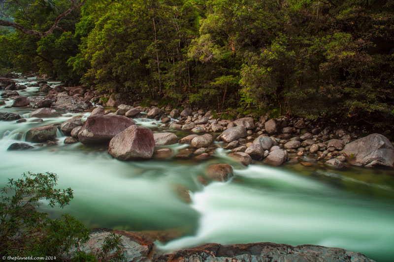 daintree rainforest river