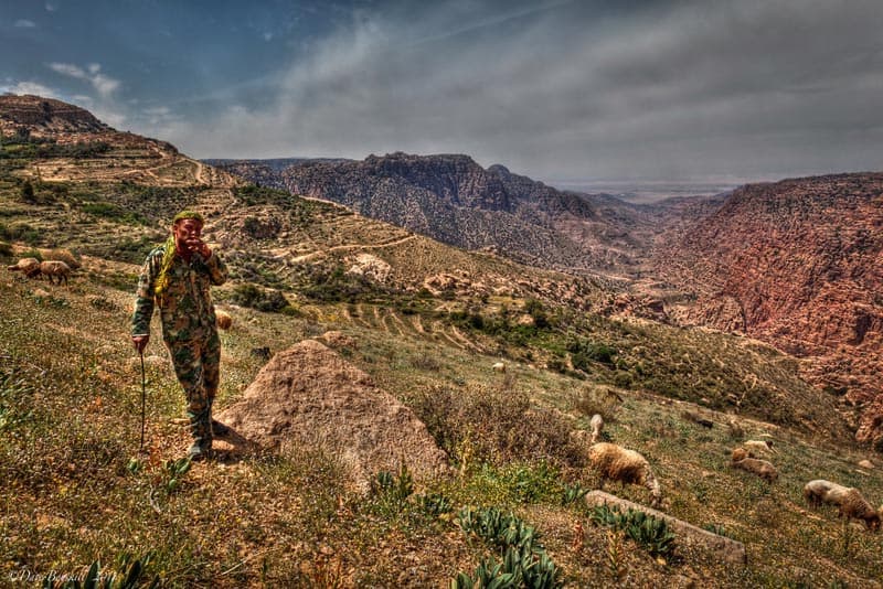 dana bio reserve jordan