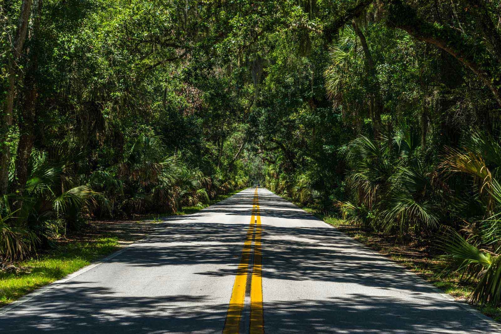 tomoka state park florida road