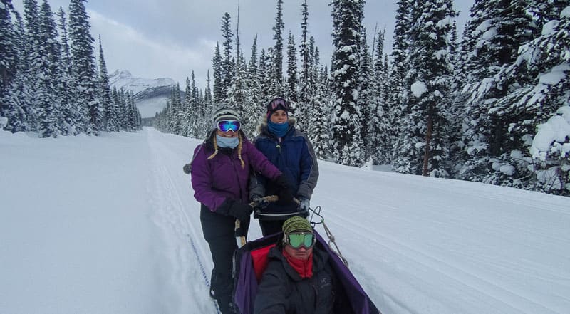 dogsledding banff alberta