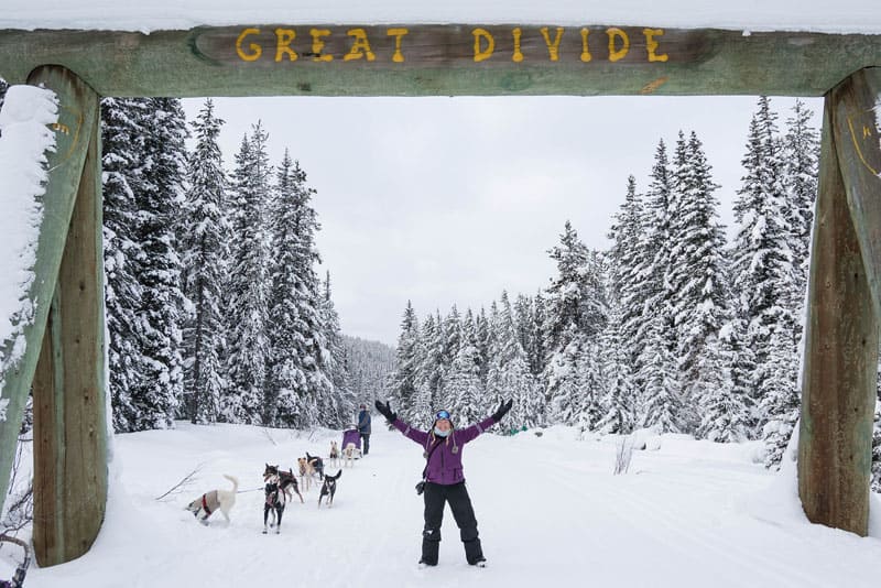 dogsledding banff great divide