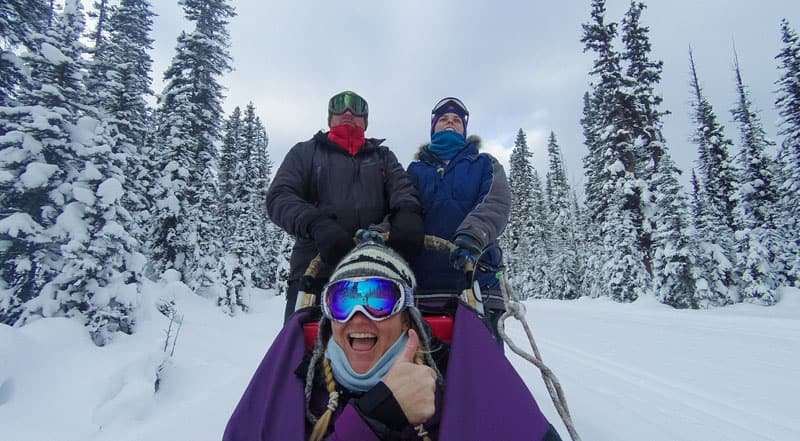 dogsledding banff group