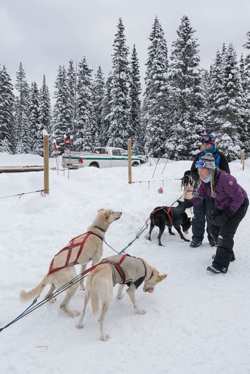 dogsledding banff pack