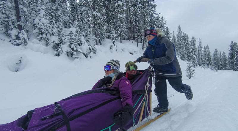 dogsledding banff push