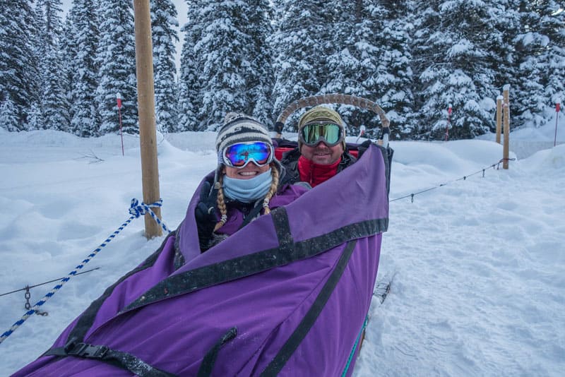 dogsledding banff snow