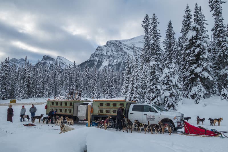 dogsledding banff truck