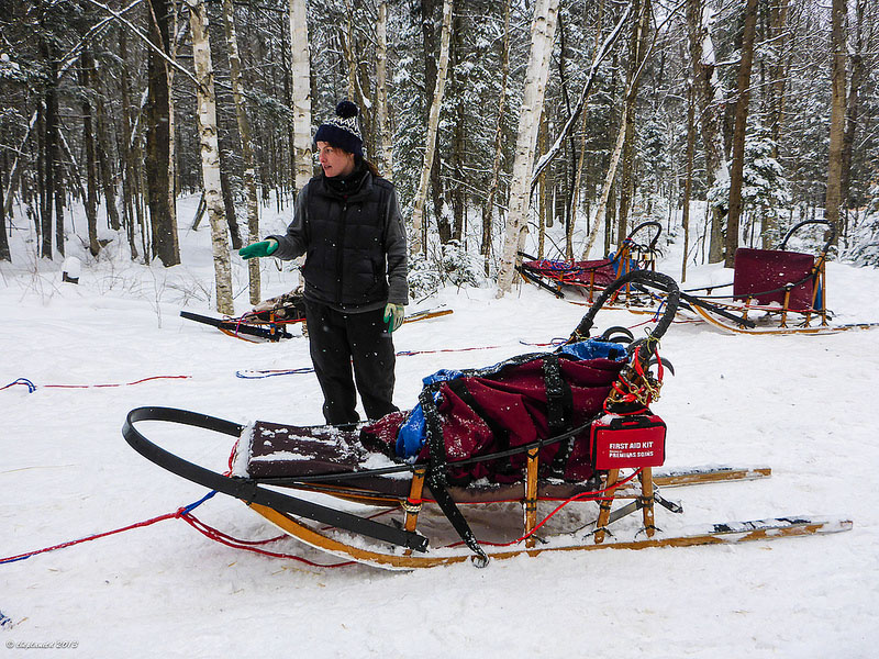 ontario sled