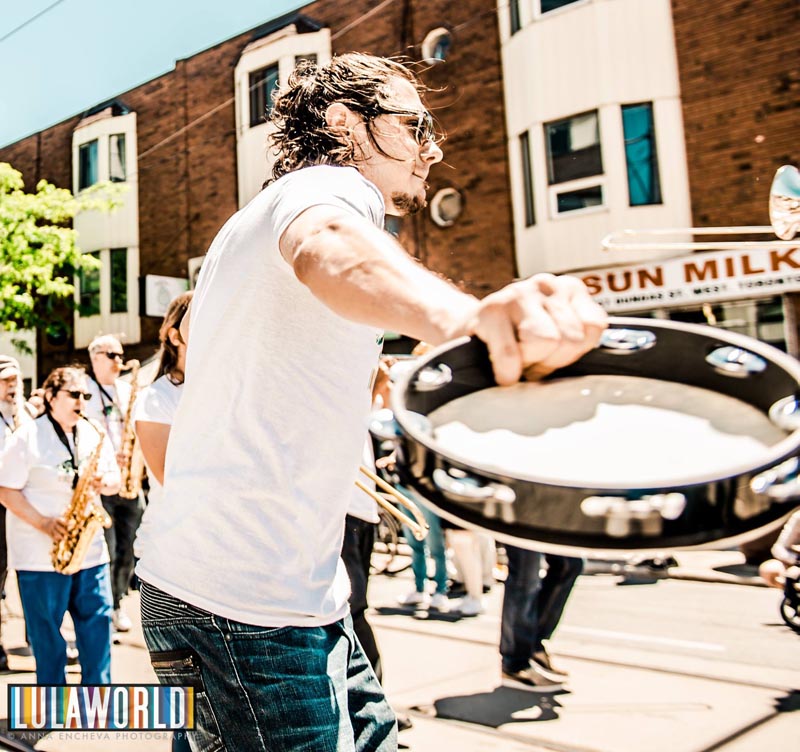 dundas west festival tamborine