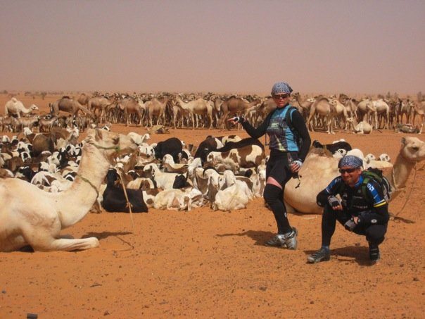 east africa nation of sudan | camels