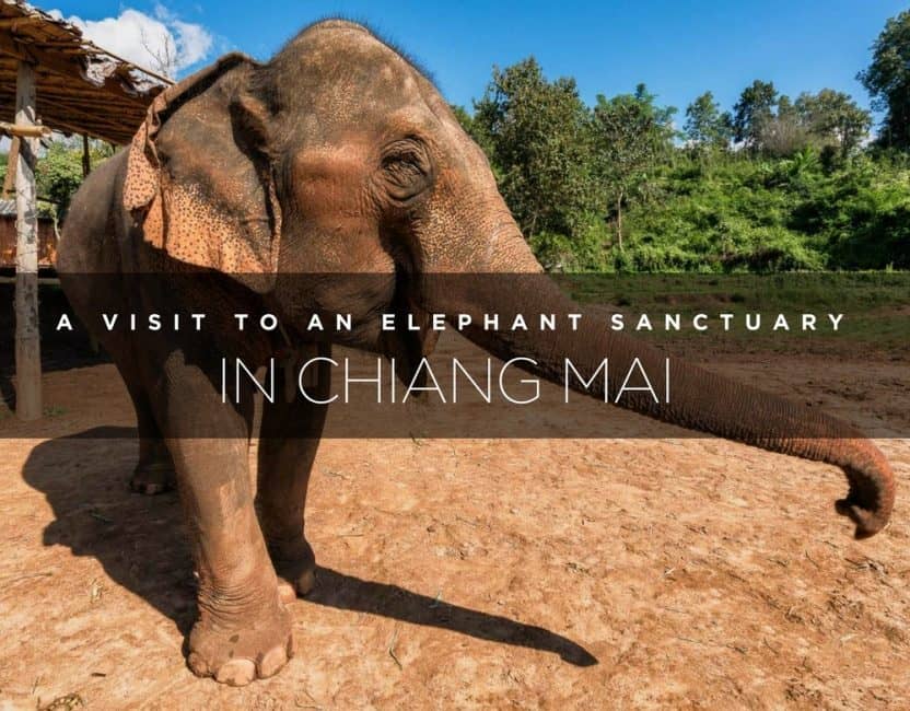 elephant sanctuary Chiang Mai