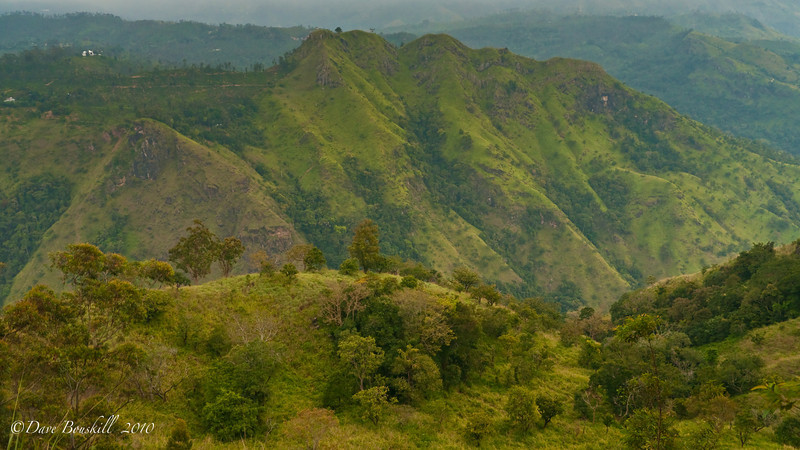 Ella Rock, Sri Lanka's Highlands  The Planet D 