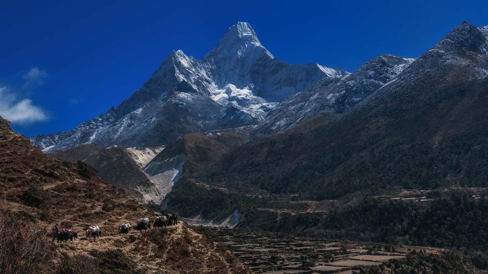 not the tallest mountain in the world but most beautiful Ama Dablam
