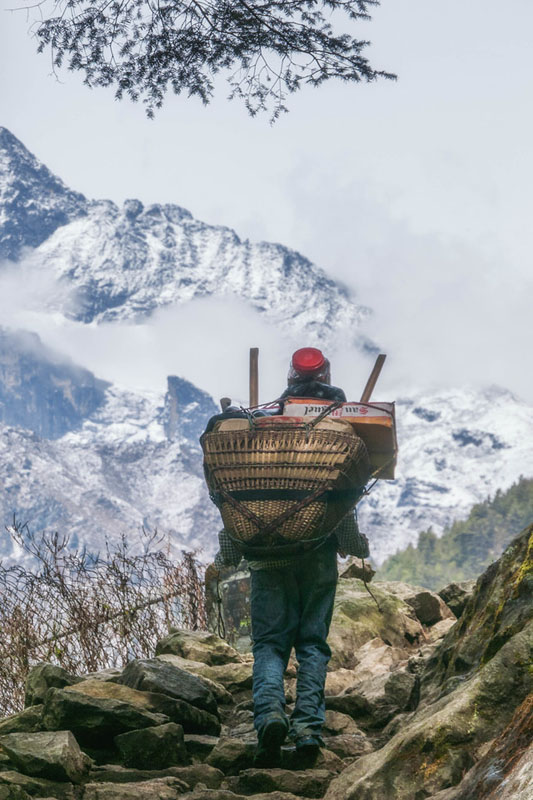 photo of everest porter bag