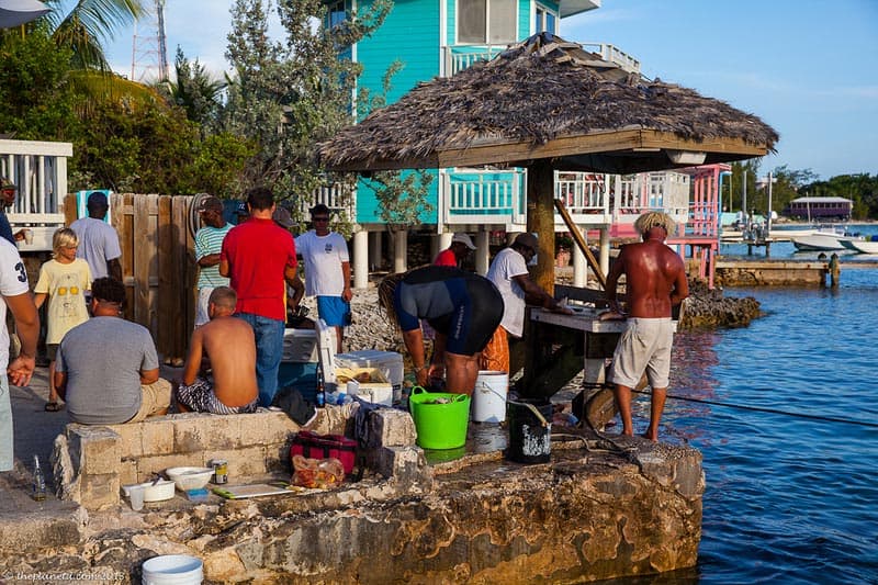 fishermen feeding nurse sharks in the exuma cays