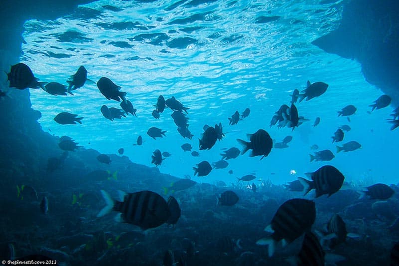 Thunderball Grotto poisson dans l'eau à Exumas