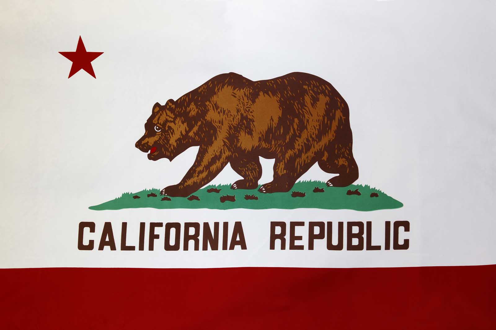 california facts state flag