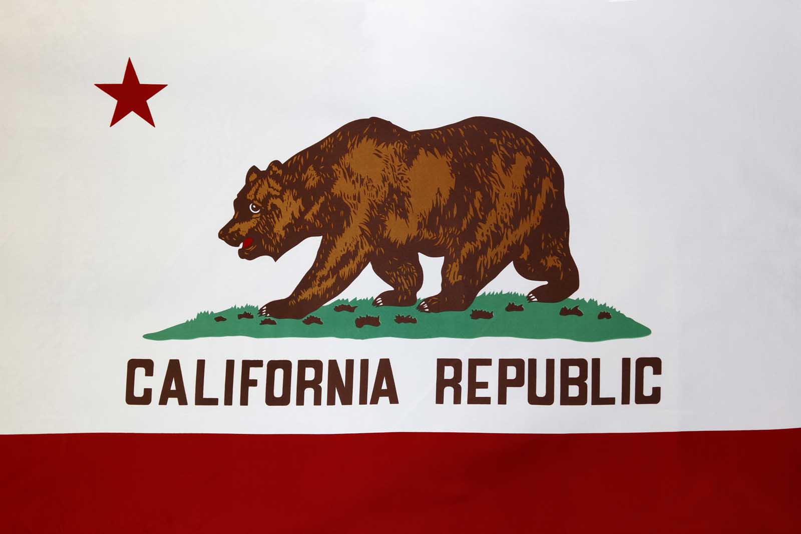 california historical facts state flag