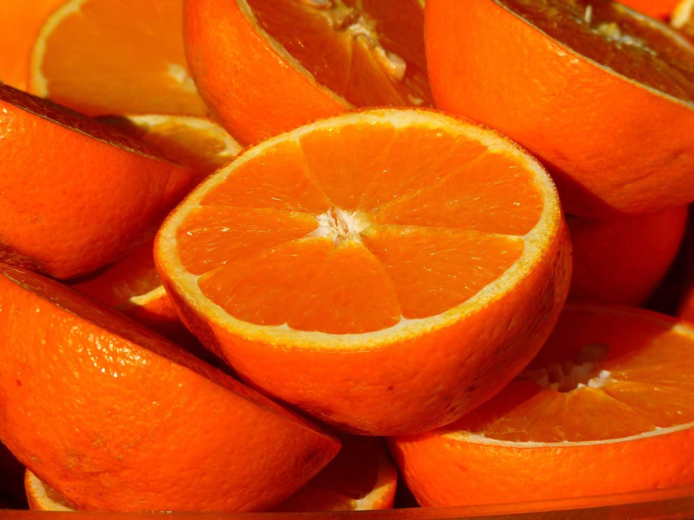 florida facts oranges