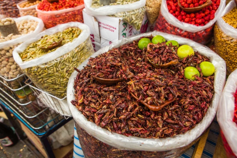 Weird Foods in Mexico A Culinary Journey Beyond the Ordinary Weird Foods in Mexico A Culinary Journey Beyond the Ordinary