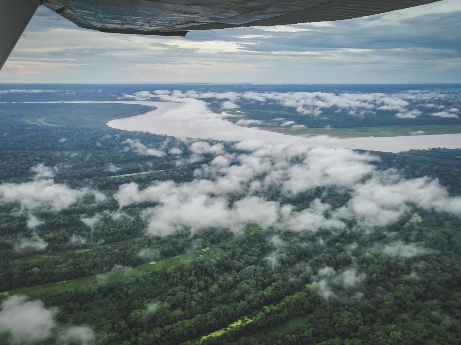Aerial view of the dense Amazon rainforest canopy stretching to the horizon