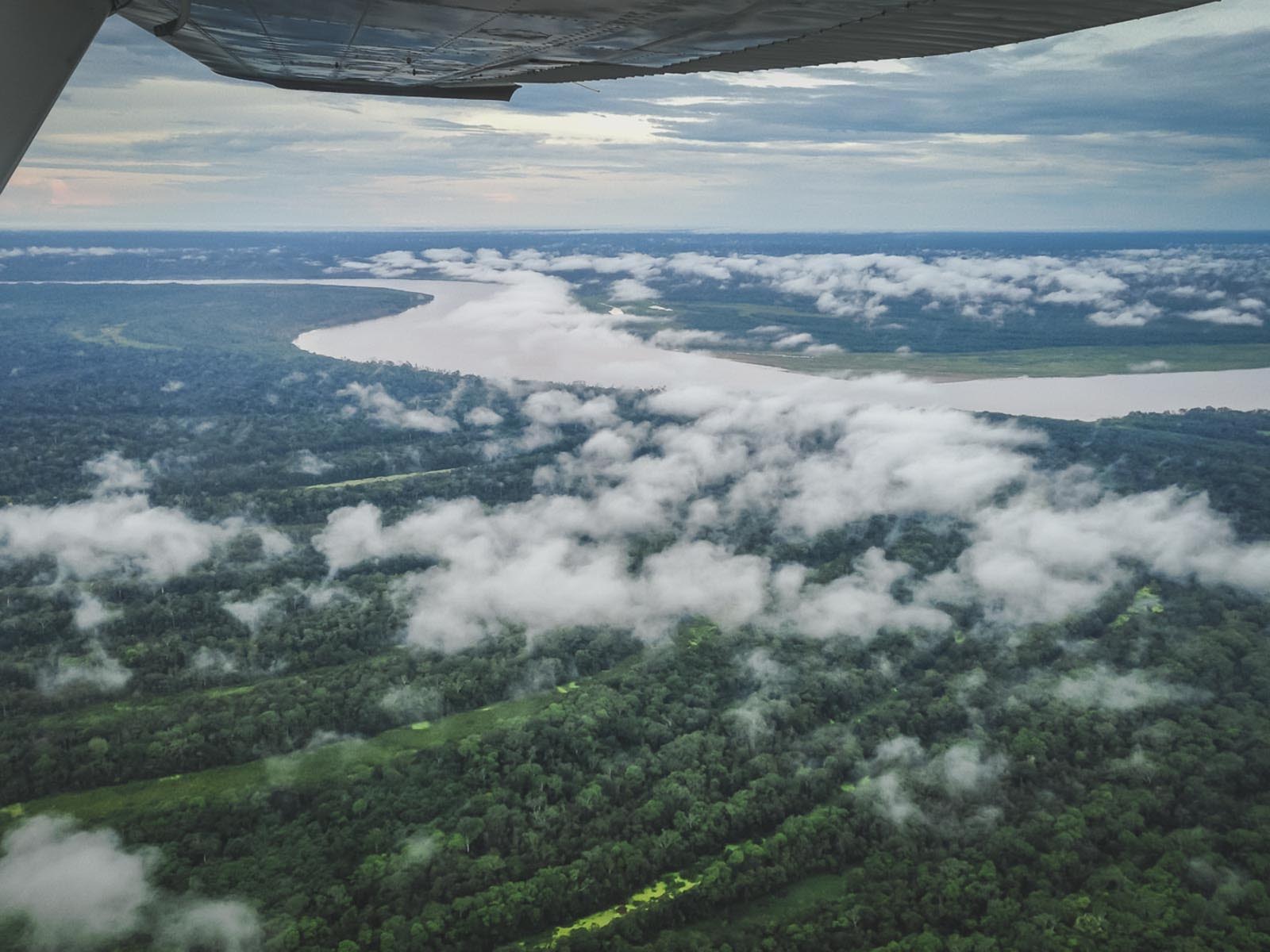 south america facts amazon rainforest