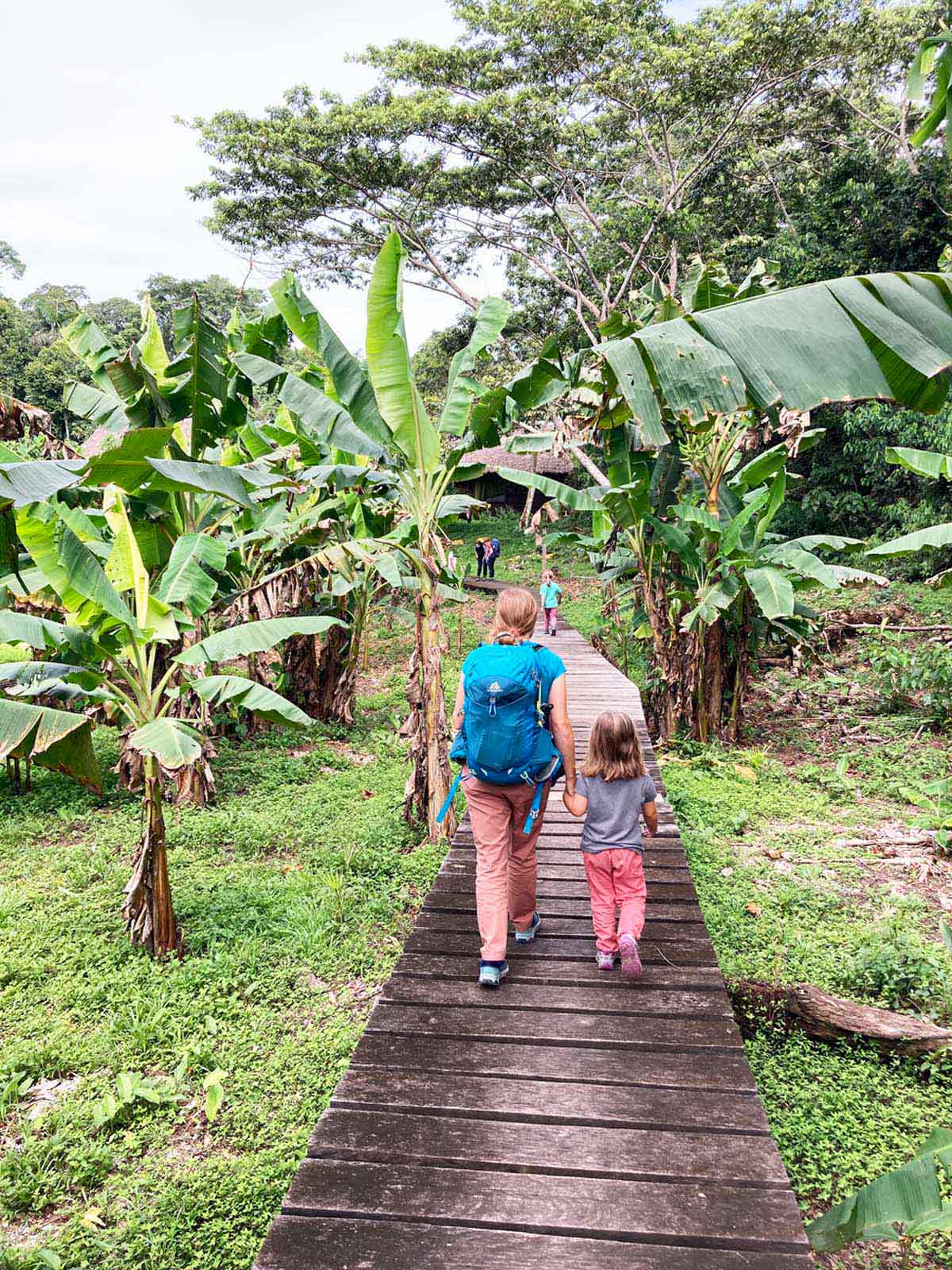 traveling with kids jungle path
