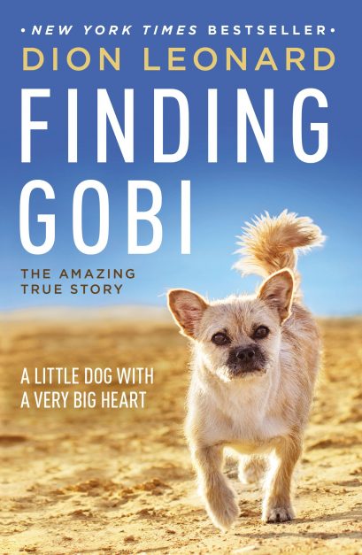 trouver un livre de gobi sur les voyages d'aventure