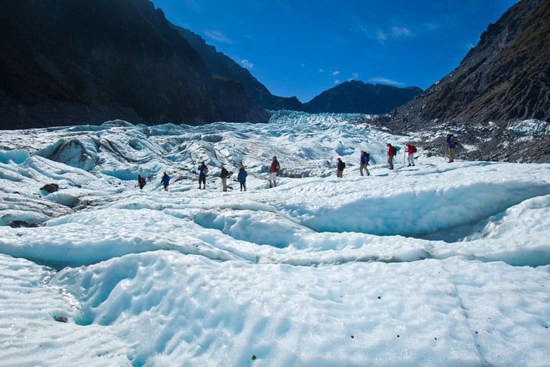 fox glacier group