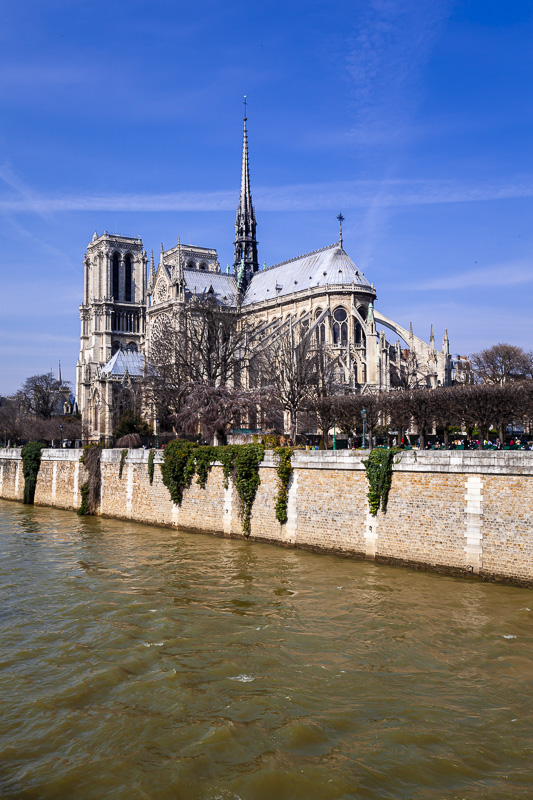 Notre Dame in Paris