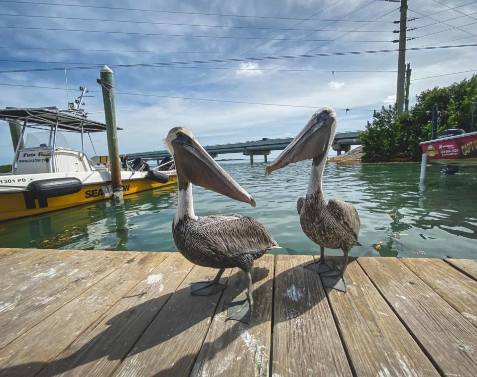 23 Interesting and Fun Facts About Florida