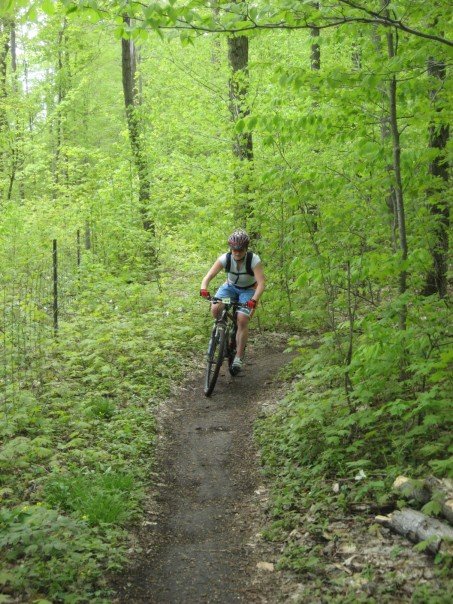 mountain biking blue mountains