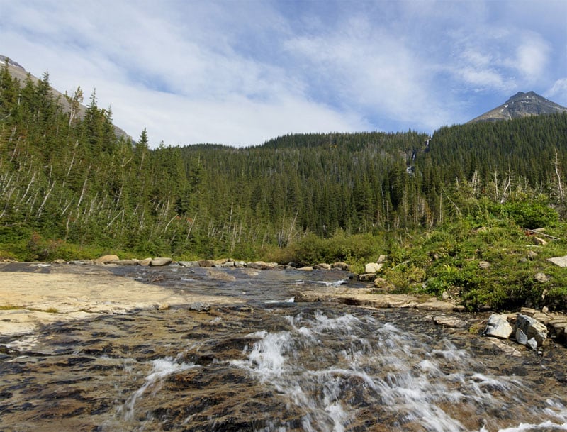 glacier national park hikes Siyeh Pass
