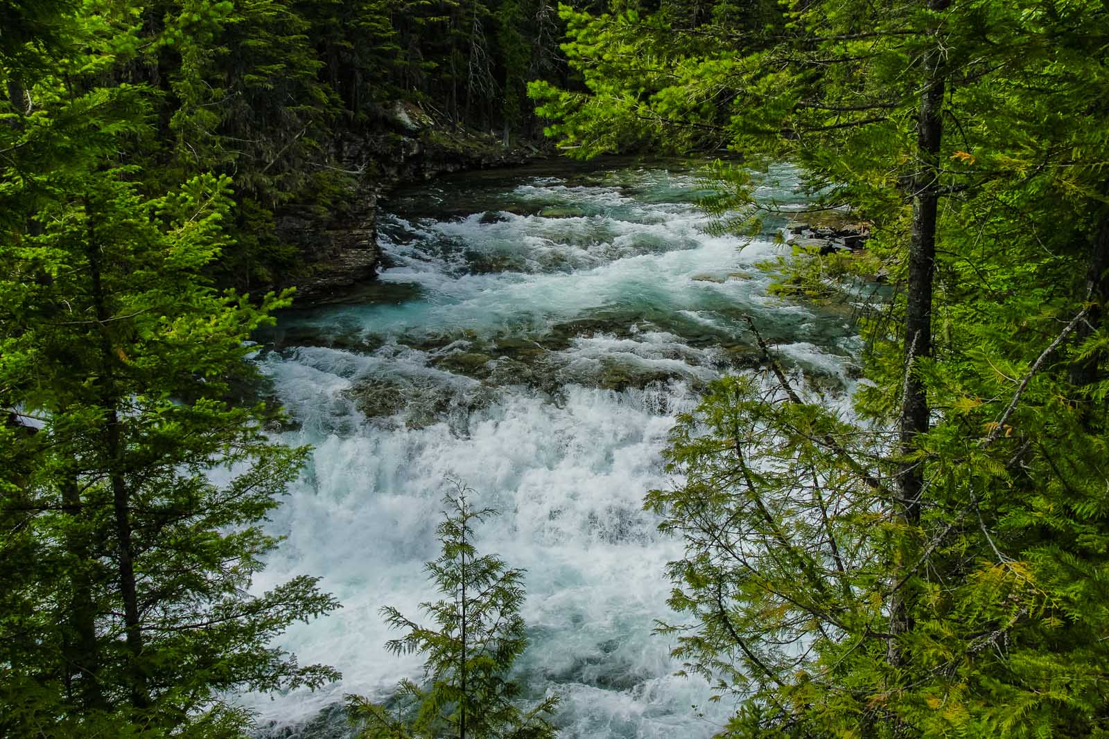 glacier national park hikes mcdonald creek