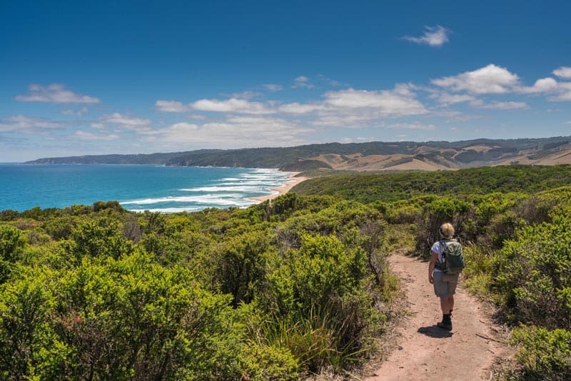 hiking trail along the coast of australia