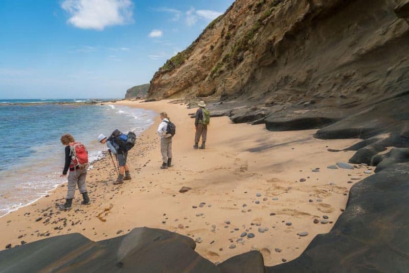 walk hikers 