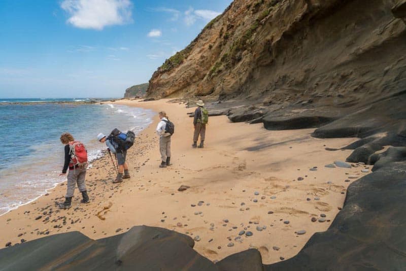 great ocean road hike