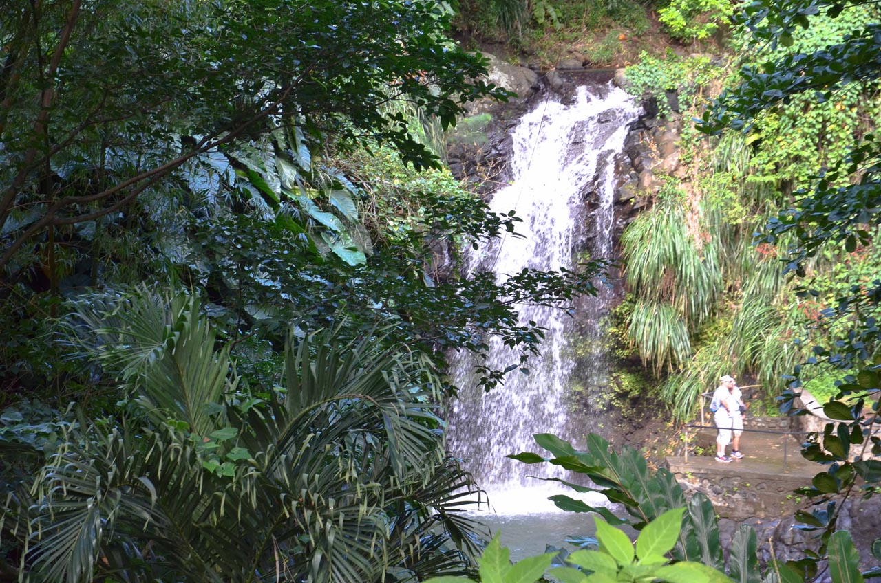 grenada things to do waterfalls